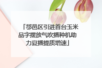 鄠邑区引进首台玉米品字摆放气吹播种机助力夏播提质增速