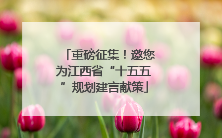 重磅征集！邀您为江西省“十五五”规划建言献策