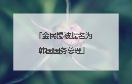 金民锡被提名为韩国国务总理