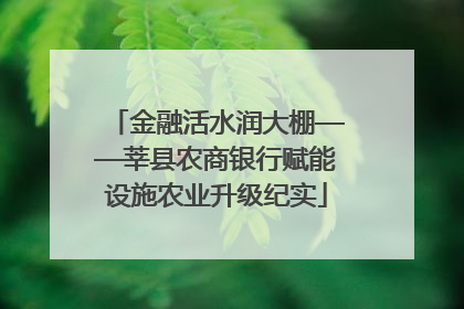 金融活水润大棚——莘县农商银行赋能设施农业升级纪实