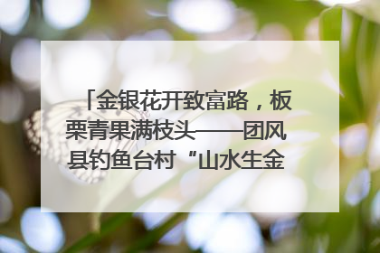 金银花开致富路，板栗青果满枝头——团风县钓鱼台村“山水生金”谱写共富新篇章