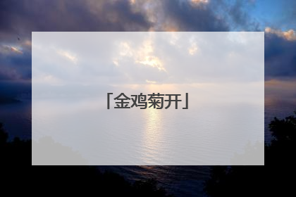 金鸡菊开