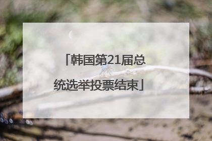 韩国第21届总统选举投票结束