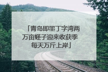 青岛即墨丁字湾两万亩蛏子迎来收获季 每天万斤上岸