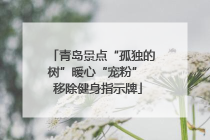 青岛景点“孤独的树”暖心“宠粉” 移除健身指示牌
