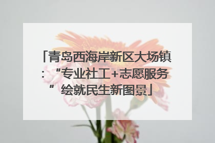 青岛西海岸新区大场镇：“专业社工+志愿服务”绘就民生新图景