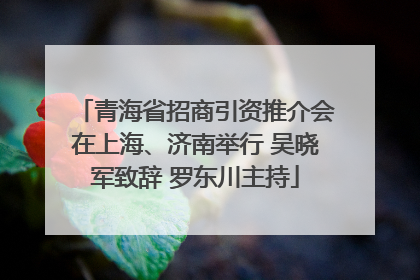 青海省招商引资推介会在上海、济南举行 吴晓军致辞 罗东川主持
