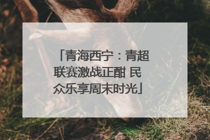 青海西宁：青超联赛激战正酣 民众乐享周末时光