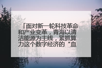 面对新一轮科技革命和产业变革，青海以清洁能源为主线，紧抓算力这个数字经济的“血液”、科技主权的“筹码”、产业升级的“杠杆”、绿色转型的“支点”，勇于撬动国家“双碳”战略、“东数西算”工程重大发展新机遇