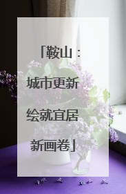 鞍山：城市更新绘就宜居新画卷