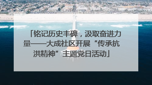 铭记历史丰碑，汲取奋进力量——大成社区开展“传承抗洪精神”主题党日活动