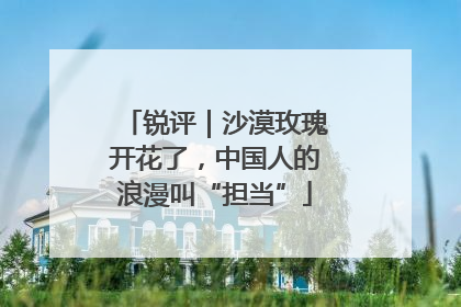锐评｜沙漠玫瑰开花了，中国人的浪漫叫“担当”