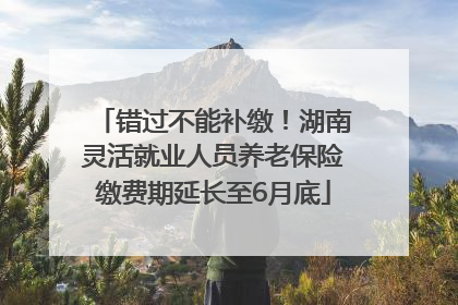 错过不能补缴！湖南灵活就业人员养老保险缴费期延长至6月底