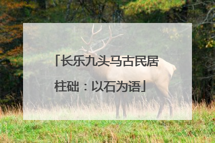 长乐九头马古民居柱础：以石为语