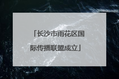 长沙市雨花区国际传播联盟成立