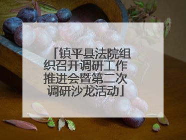 镇平县法院组织召开调研工作推进会暨第二次调研沙龙活动