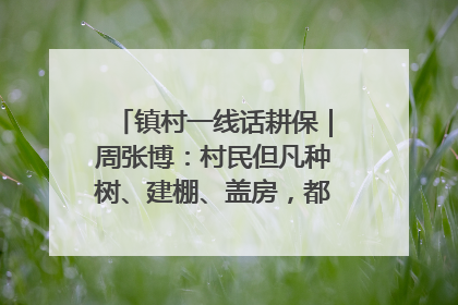 镇村一线话耕保｜周张博：村民但凡种树、建棚、盖房，都要向街道报批