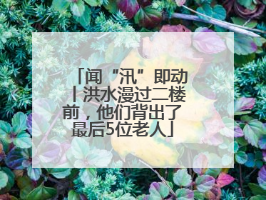 闻“汛”即动丨洪水漫过二楼前，他们背出了最后5位老人