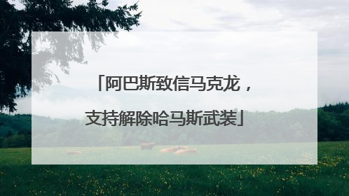 阿巴斯致信马克龙，支持解除哈马斯武装