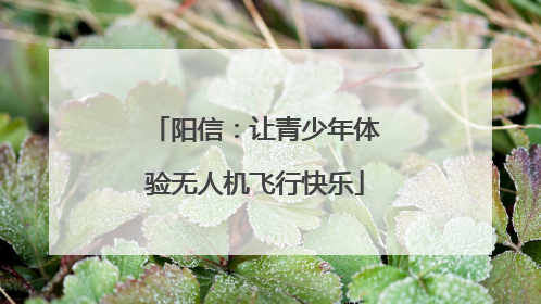 阳信：让青少年体验无人机飞行快乐