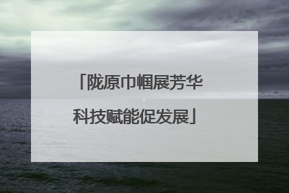陇原巾帼展芳华 科技赋能促发展