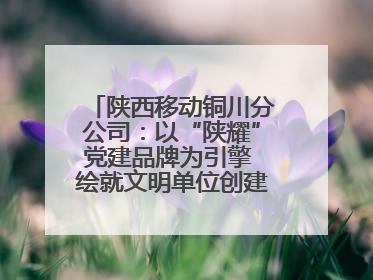 陕西移动铜川分公司：以“陕耀”党建品牌为引擎 绘就文明单位创建新画卷——全国文明单位创建纪实