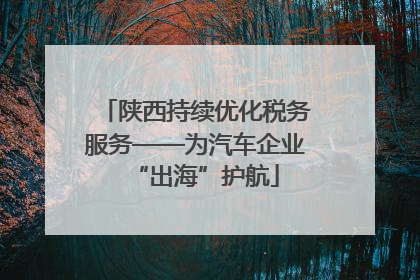 陕西持续优化税务服务——为汽车企业“出海”护航