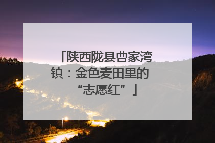 陕西陇县曹家湾镇：金色麦田里的“志愿红”