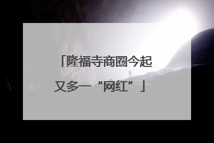 隆福寺商圈今起又多一“网红”