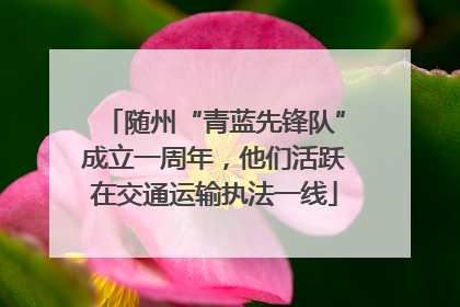 随州“青蓝先锋队”成立一周年，他们活跃在交通运输执法一线