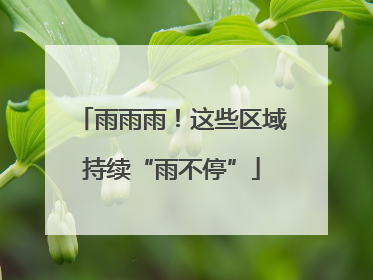 雨雨雨！这些区域持续“雨不停”