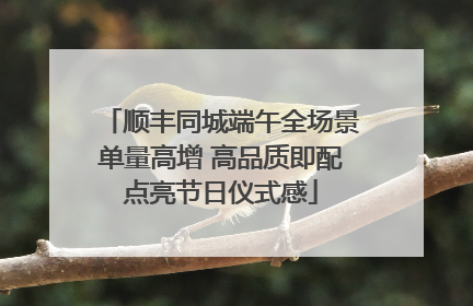 顺丰同城端午全场景单量高增 高品质即配点亮节日仪式感