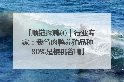 顺链探鸭④｜行业专家：我省肉鸭养殖品种80%是樱桃谷鸭