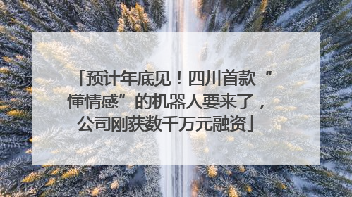 预计年底见！四川首款“懂情感”的机器人要来了，公司刚获数千万元融资