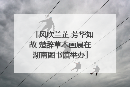 风吹兰芷 芳华如故 楚辞草木画展在湖南图书馆举办