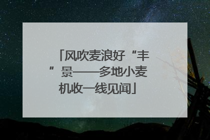 风吹麦浪好“丰”景——多地小麦机收一线见闻