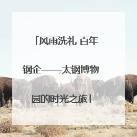 风雨洗礼 百年钢企——太钢博物园的时光之旅