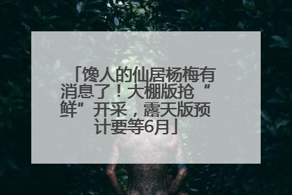 馋人的仙居杨梅有消息了！大棚版抢“鲜”开采，露天版预计要等6月