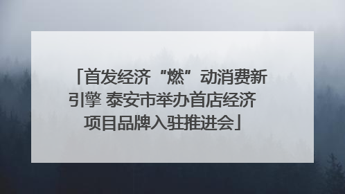 首发经济“燃”动消费新引擎 泰安市举办首店经济项目品牌入驻推进会