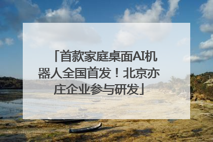 首款家庭桌面AI机器人全国首发！北京亦庄企业参与研发