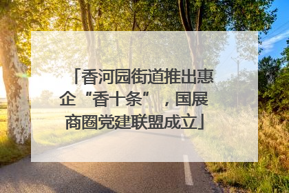 香河园街道推出惠企“香十条”，国展商圈党建联盟成立