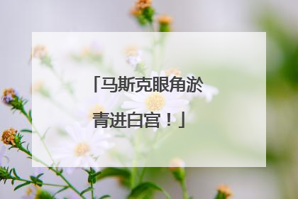 马斯克眼角淤青进白宫！