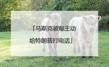 马斯克被曝主动给特朗普打电话