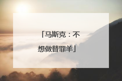 马斯克：不想做替罪羊