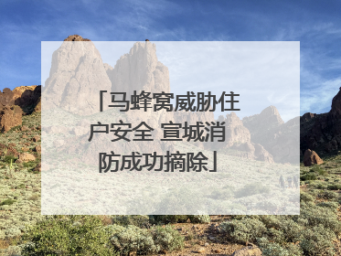 马蜂窝威胁住户安全 宣城消防成功摘除