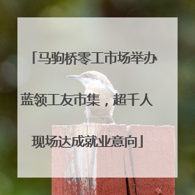 马驹桥零工市场举办蓝领工友市集，超千人现场达成就业意向