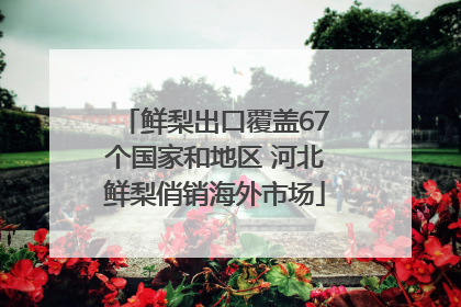 鲜梨出口覆盖67个国家和地区 河北鲜梨俏销海外市场