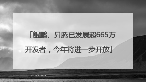 鲲鹏、昇腾已发展超665万开发者，今年将进一步开放