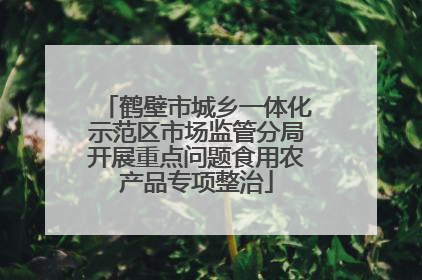 鹤壁市城乡一体化示范区市场监管分局开展重点问题食用农产品专项整治