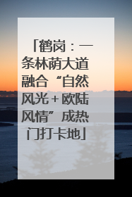 鹤岗：一条林荫大道融合“自然风光＋欧陆风情”成热门打卡地